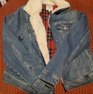 Torrid trucker jacket